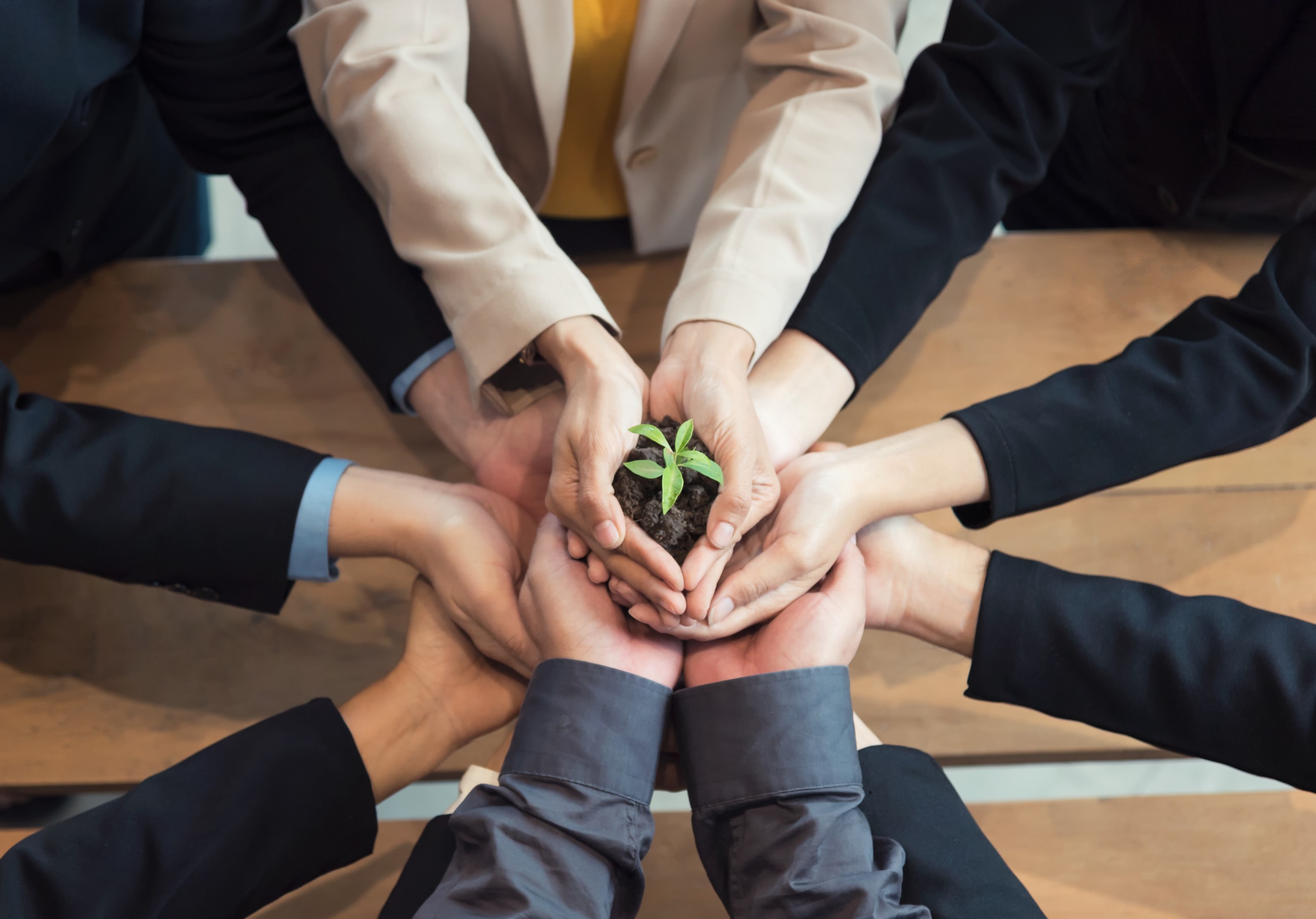 CSR unity-businesspeople-protecting-small-sprout-with-hands
